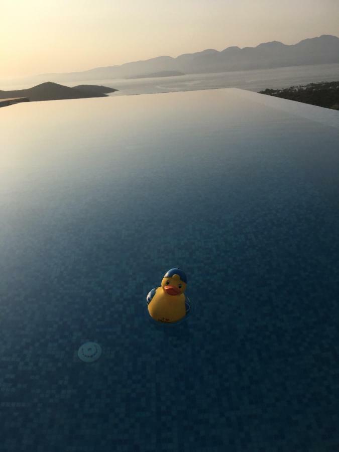 Villa Estee, Luxury Villa With Private Infinity Pool And Jacuzzi Элунда Экстерьер фото
