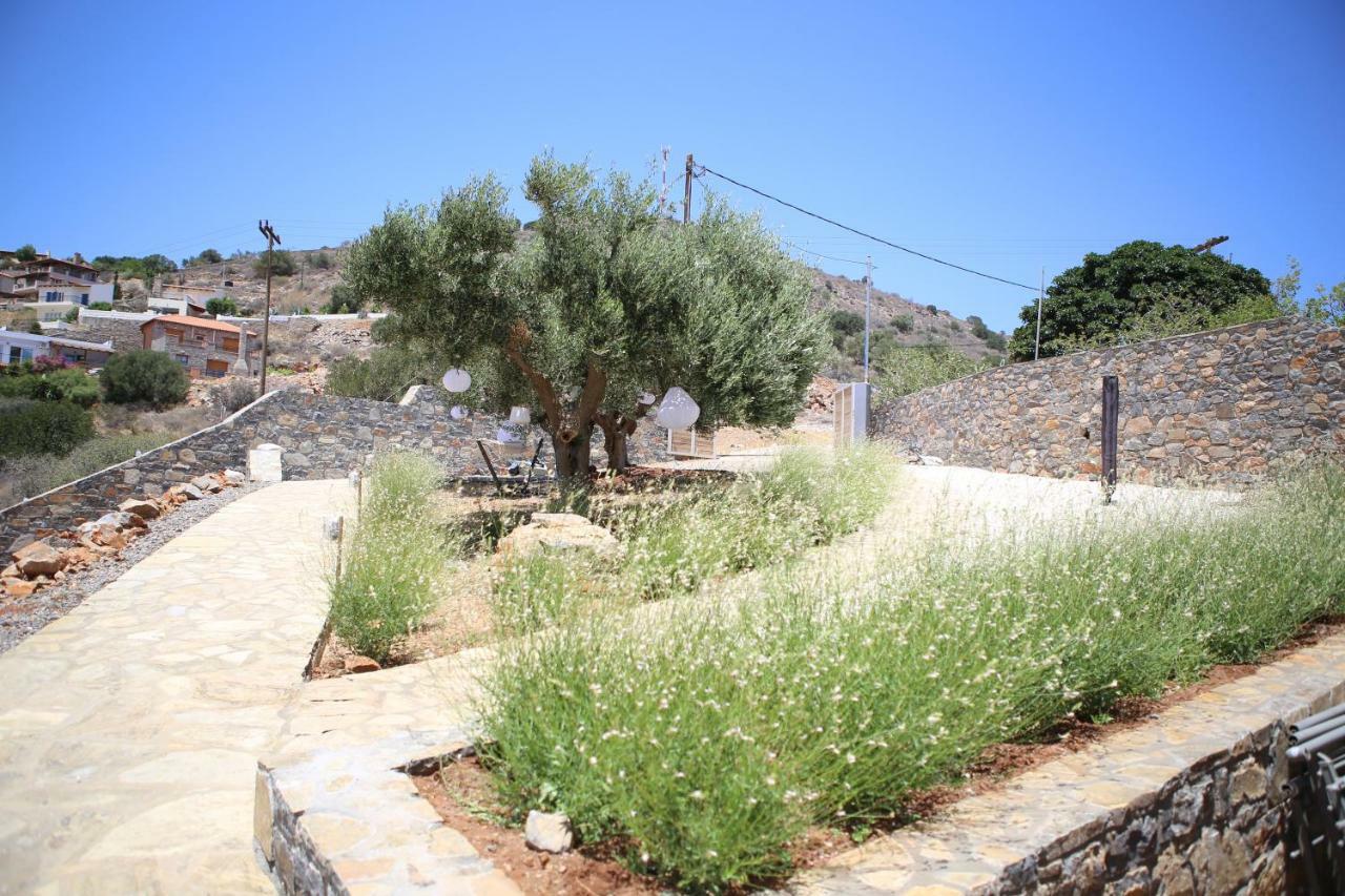 Villa Estee, Luxury Villa With Private Infinity Pool And Jacuzzi Элунда Экстерьер фото